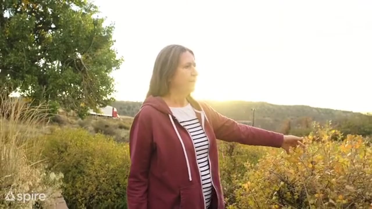 Still from Fighting Climate Change With Satellite Data